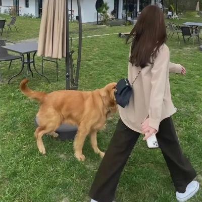 连锁大阴谋